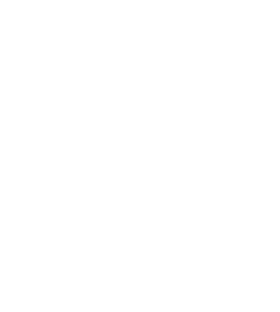 kleines Logo vom Baumpflegeservice König.